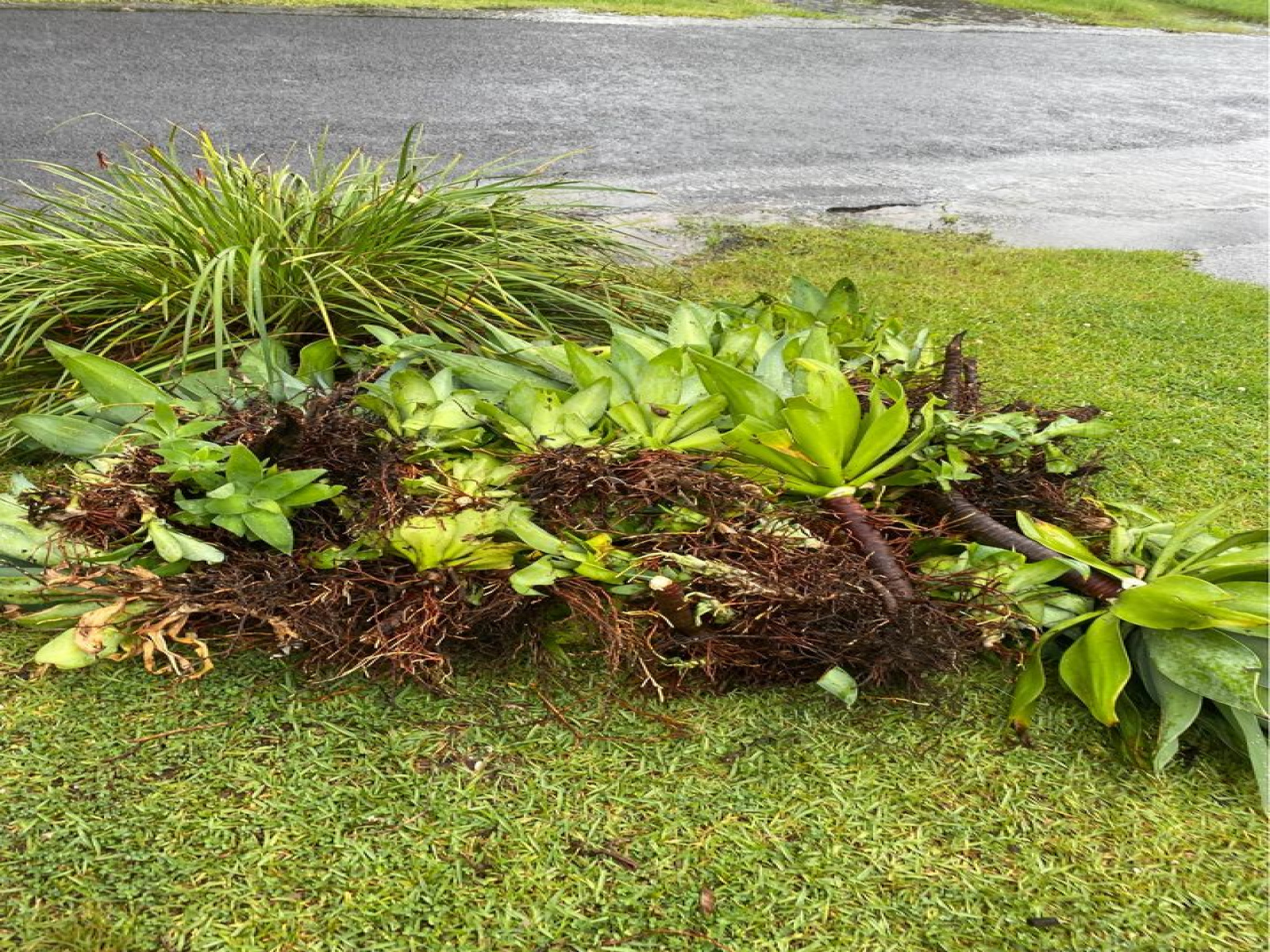 kerb