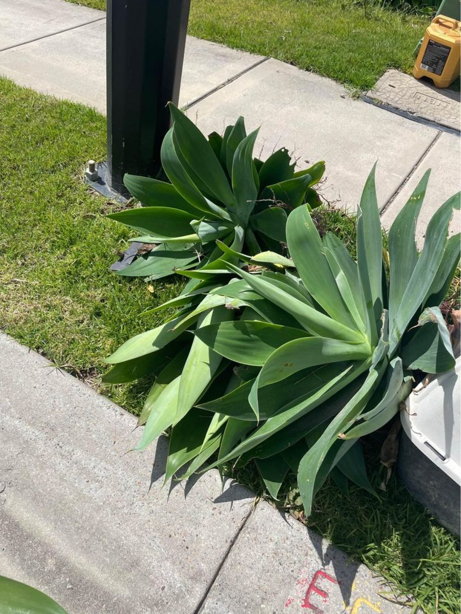 kerb